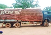 Exportation illicite d’amendes de Karité: plus de 100 tonnes interceptées à Pô