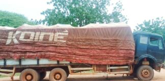 Exportation illicite d’amendes de Karité: plus de 100 tonnes interceptées à Pô