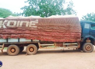Exportation illicite d’amendes de Karité: plus de 100 tonnes interceptées à Pô