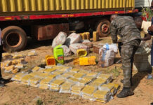 Lutte contre la fraude: 500 Kg de drogue saisis à Koloko