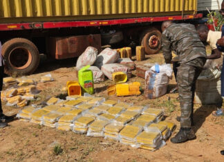 Lutte contre la fraude: 500 Kg de drogue saisis à Koloko