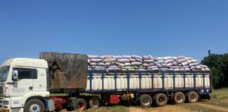 Trafic d’amandes de k𝐚𝐫𝐢𝐭é: 100 tonnes saisies