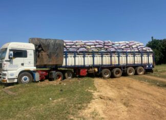 Trafic d’amandes de k𝐚𝐫𝐢𝐭é: 100 tonnes saisies
