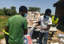 Infection par l’Influenza aviaire hautement pathogène: 4 500 poussins chair détruis à Bittou