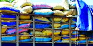 Trafic d’amandes de karité dans la région du Djôrô: 35 tonnes saisies à Djikologo