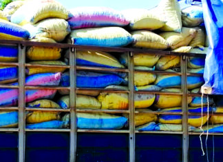 Trafic d’amandes de karité dans la région du Djôrô: 35 tonnes saisies à Djikologo