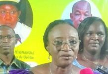 Semaine nationale de la culture 2026: les ambassadeurs du Houet sont connus