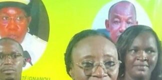 Semaine nationale de la culture 2026:  les ambassadeurs du Houet sont connus