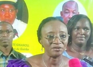 Semaine nationale de la culture 2026: les ambassadeurs du Houet sont connus