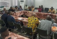 Résolution des conflits : vers des solutions endogènes