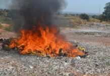 Lutte contre la fraude à Bobo-Dioulasso : plus de 15 tonnes de produits prohibés réduits en cendre
