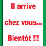 IMG-20251020-WA0029