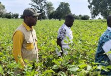 Développent industriel: le ministre Poda visite des unités à Dédougou