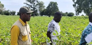 Développent industriel: le ministre Poda visite des unités à Dédougou