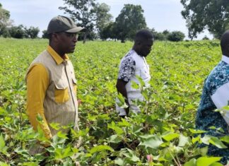Développent industriel: le ministre Poda visite des unités à Dédougou