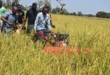 Mise en œuvre des Projets de développement intégré communaux pour la REDD+ : le ministre Roger Baro constate  les réalisations dans plusieurs communes