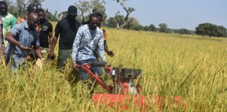 Mise en œuvre des Projets de développement intégré communaux pour la REDD+ : le ministre Roger Baro constate  les réalisations dans plusieurs communes