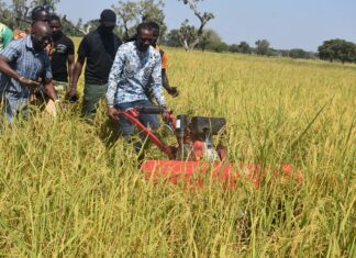 Mise en œuvre des Projets de développement intégré communaux pour la REDD+ : le ministre Roger Baro constate les réalisations dans plusieurs communes