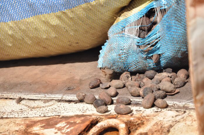 WhatsApp Image 2025-10-31 at 13.37.33 (1)