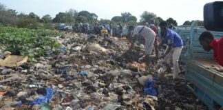 Journées d’engagement patriotique: Orodara fait front contre l’insalubrité