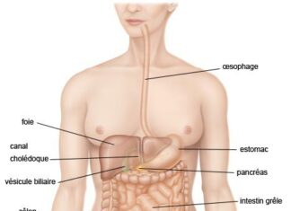 La maladie de Crohn : les complications nécessitent une prise en charge médicale urgente