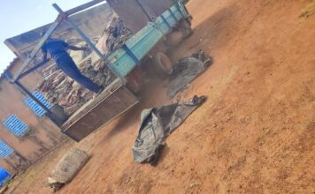 Axe Ouagadougou-Kaya : la Brigade mobile des Douanes a saisi 𝐜𝐞𝐧𝐭 (𝟏𝟎𝟎) 𝐟𝐮̂𝐭𝐬 𝐝𝐞 𝐜𝐲𝐚𝐧𝐮𝐫𝐞 dissimulés sous une cargaison de sacs vides de ciment