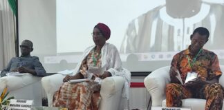 UACO 2025: Le FESPACO, un outil de communication et de résilience pour les Etats sahéliens