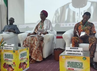 UACO 2025: Le FESPACO, un outil de communication et de résilience pour les Etats sahéliens