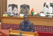 Assemblée législative de Transition: la gestion du stade du 4-Août, des espaces verts et la contribution de la diaspora en débat