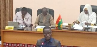 Assemblée législative de Transition: la gestion du stade du 4-Août, des espaces verts et la contribution de la diaspora en débat