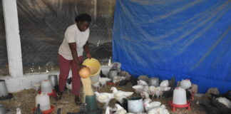 Entrepreneuriat des jeunes et des femmes: de zéro franc à de véritables businessmen