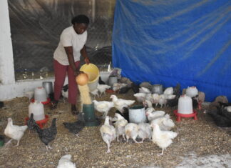 Entrepreneuriat des jeunes et des femmes: de zéro franc à de véritables businessmen