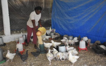 Entrepreneuriat des jeunes et des femmes: de zéro franc à de véritables businessmen