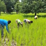 Commune de Dédougou: la solidarité des populations hôtes redonne espoir aux déplacés internes