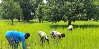 Commune de Dédougou: la solidarité des populations hôtes redonne espoir aux déplacés internes