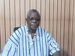 Coopération Burkina-Brésil: « L’axe Ouagadougou-Brasília se porte bien », dixit l’ambassadeur Edgard Sié Sou