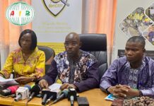 Tentative d’exportation frauduleuse: 1 800 tonnes d’amandes de karité saisies en vente aujourd’hui