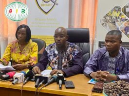 Tentative d’exportation frauduleuse: 1 800 tonnes d’amandes de karité saisies en vente aujourd’hui