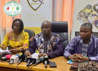 Tentative d’exportation frauduleuse: 1 800 tonnes d’amandes de karité saisies en vente aujourd’hui