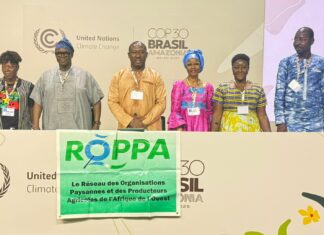 Adaptation au changement climatique: le ROPPA demande la création d’un Fonds pour la résilience et l’autonomisation des agriculteurs