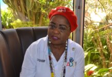 Dr Arikana Chihombori, présidente de l’Institut de développement de la diaspora africaine: « Le Président Traoré incarne ce que nous avons toujours souhaité chez un Africain »