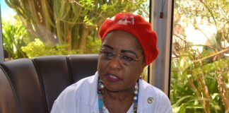 Dr Arikana Chihombori, présidente de l’Institut de développement de la diaspora africaine: « Le Président Traoré incarne ce que nous avons toujours souhaité chez un Africain »