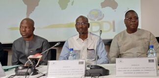 Investissements au Burkina: les opportunités d’affaires présentées aux Afrodescendants