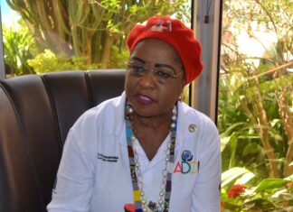 Dr Arikana Chihombori, présidente de l’Institut de développement de la diaspora africaine: « Le Président Traoré incarne ce que nous avons toujours souhaité chez un Africain »