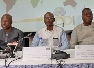 Investissements au Burkina: les opportunités d’affaires présentées aux Afrodescendants