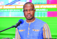 Semaine des énergies, énergies renouvelables d’Afrique: le trio « agriculture-énergie-eau » au cœur des débats