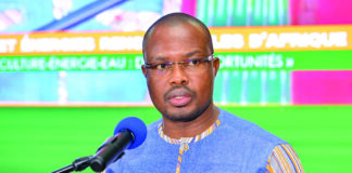 Semaine des énergies, énergies renouvelables d’Afrique: le trio « agriculture-énergie-eau » au cœur des débats