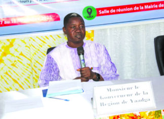 Région de Yaadga: l’administration et le secteur privé de la culture se concertent