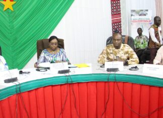 Dialogue direct Gouvernement/Afrodescendants: l’exécutif burkinabè rassure