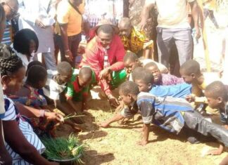 Promotion de la cantine endogène: démarrage des jardins scolaires à Pibsé